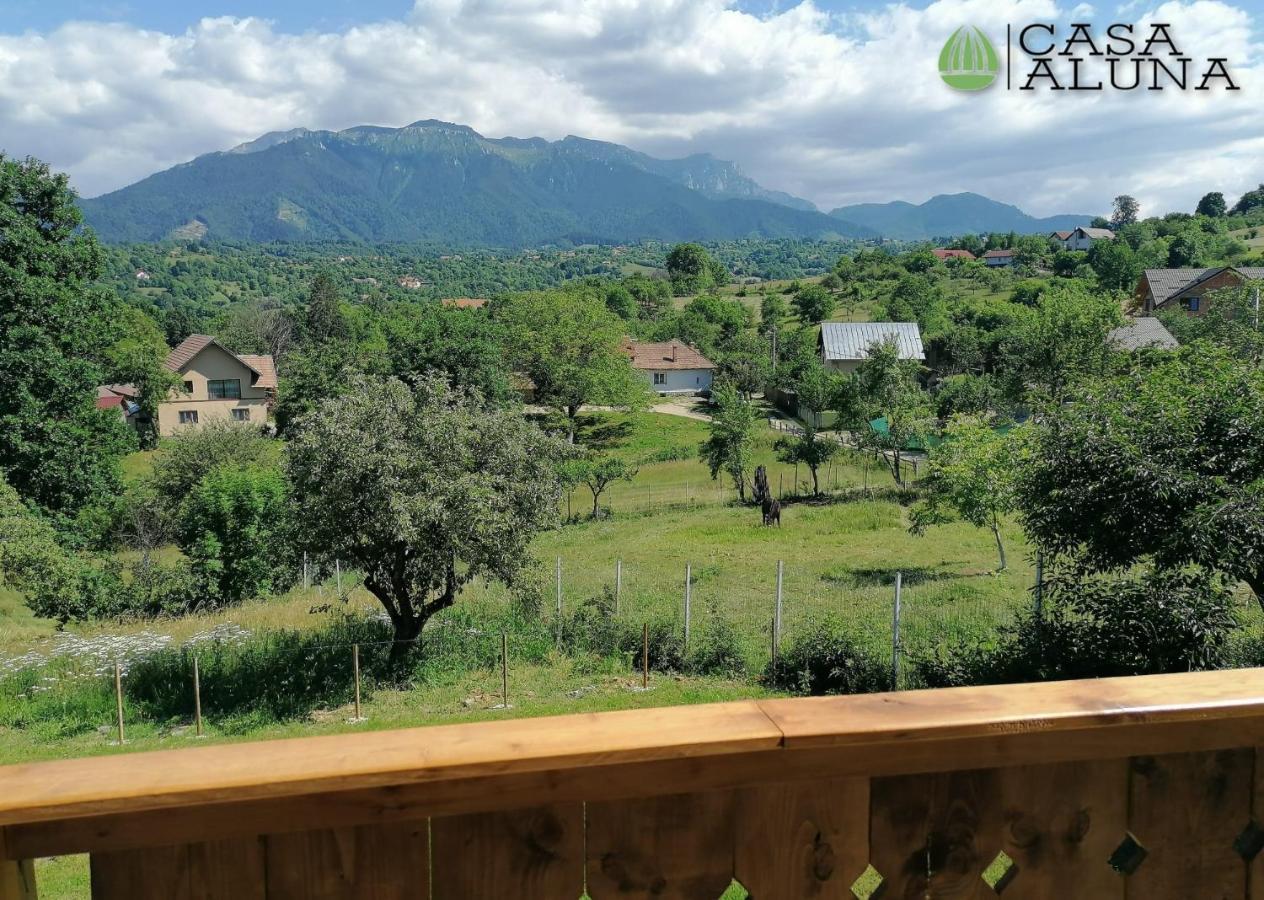 Casa Aluna Duo Lodge Sohodol (Brasov)