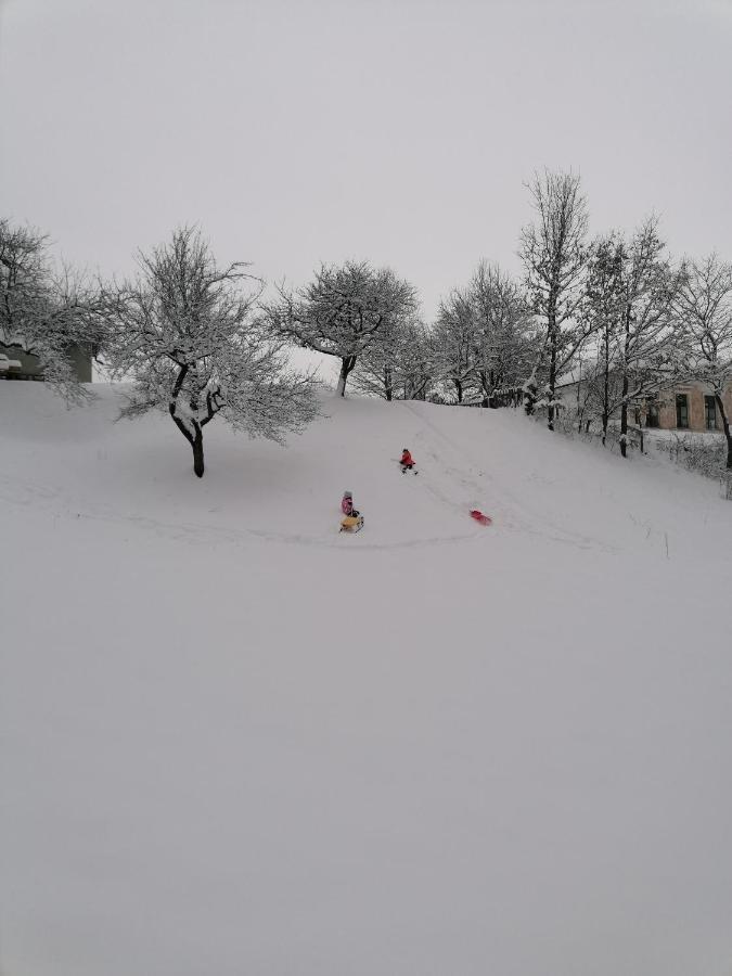 Casa Aluna Duo Sohodol (Brasov)