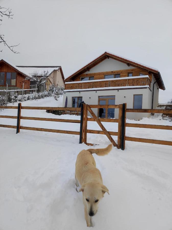 Lodge Casa Aluna Duo Sohodol (Brasov)