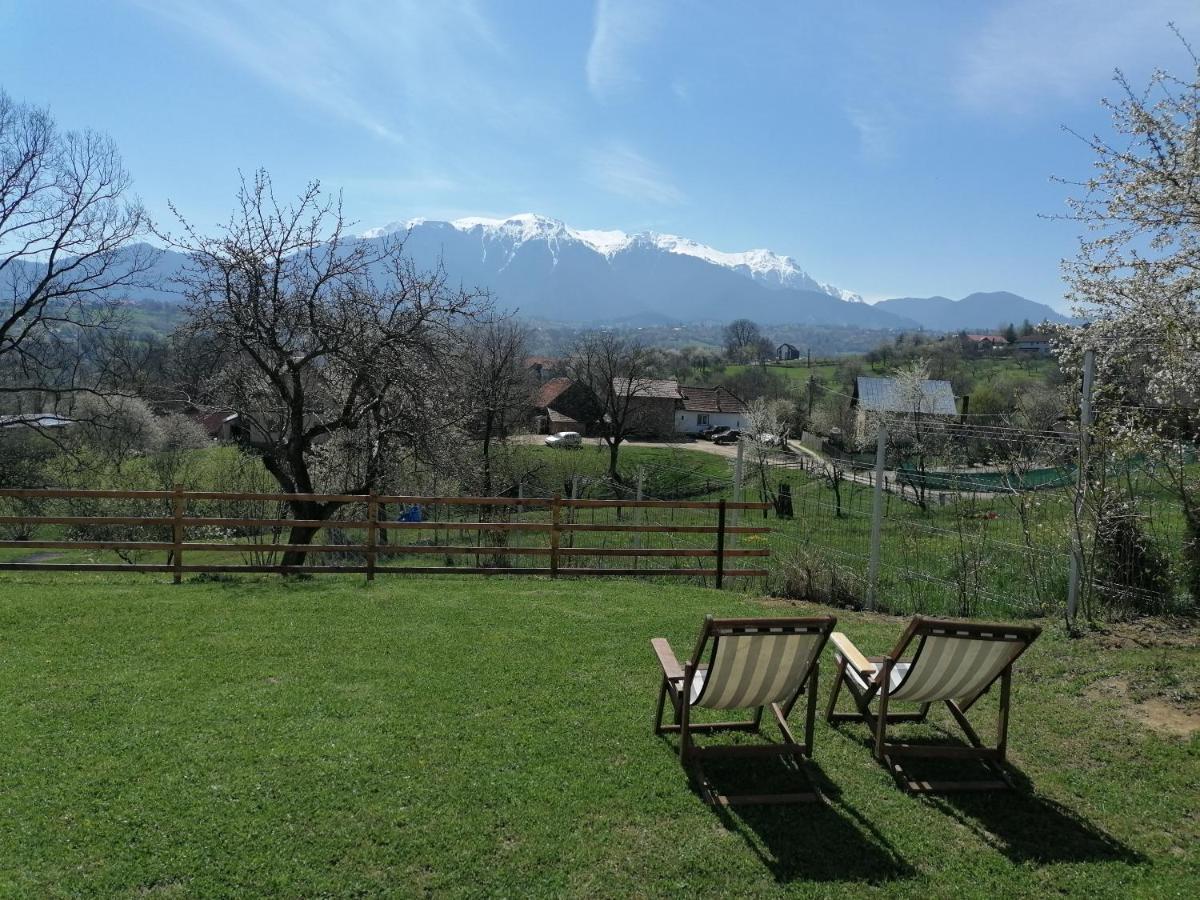Casa Aluna Duo
