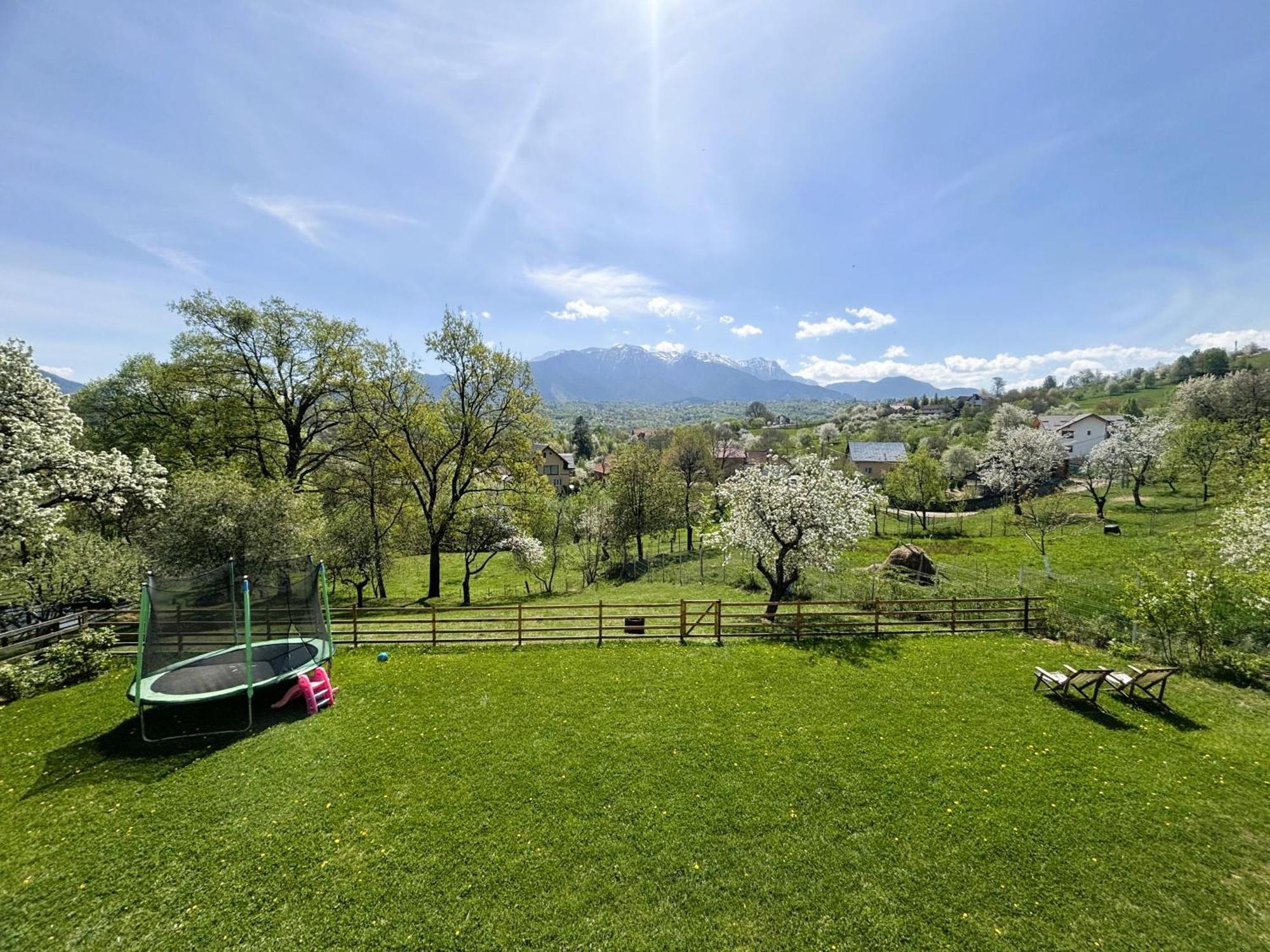 Lodge Casa Aluna Duo Sohodol (Brasov)