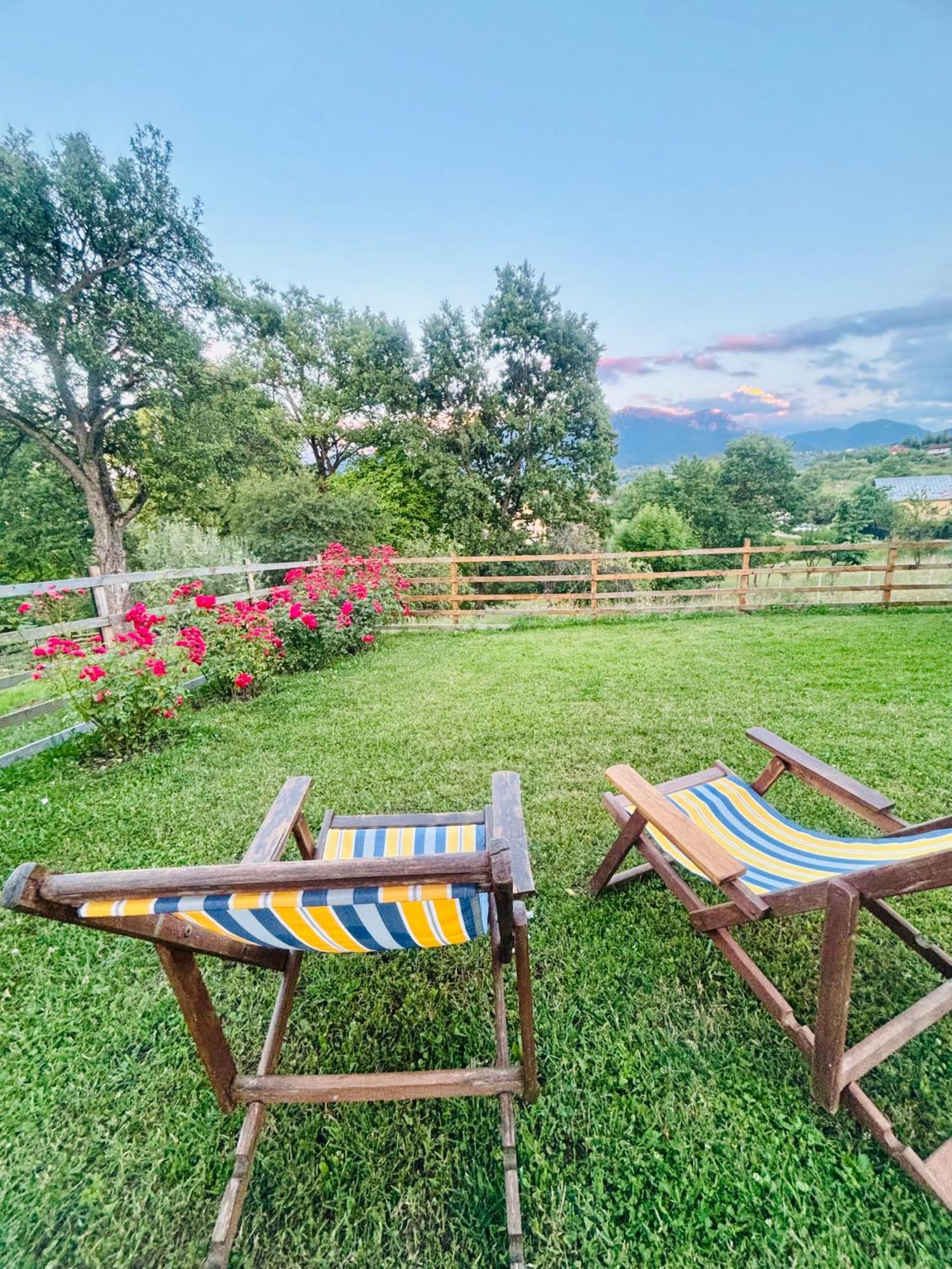 Casa Aluna Duo Lodge Sohodol (Brasov)